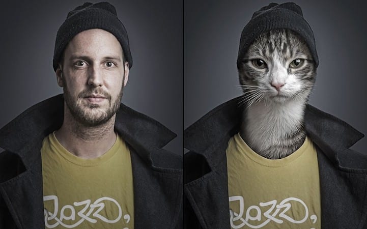 Cats Dressed As Their Owners by Sebastian Magnani Cats Dressed As Their Owners by Sebastian Magnani