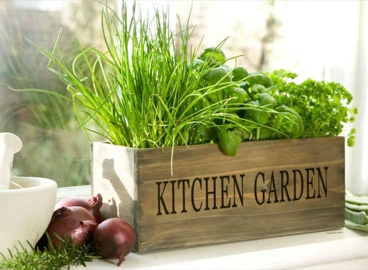 indoor-herb-garden24