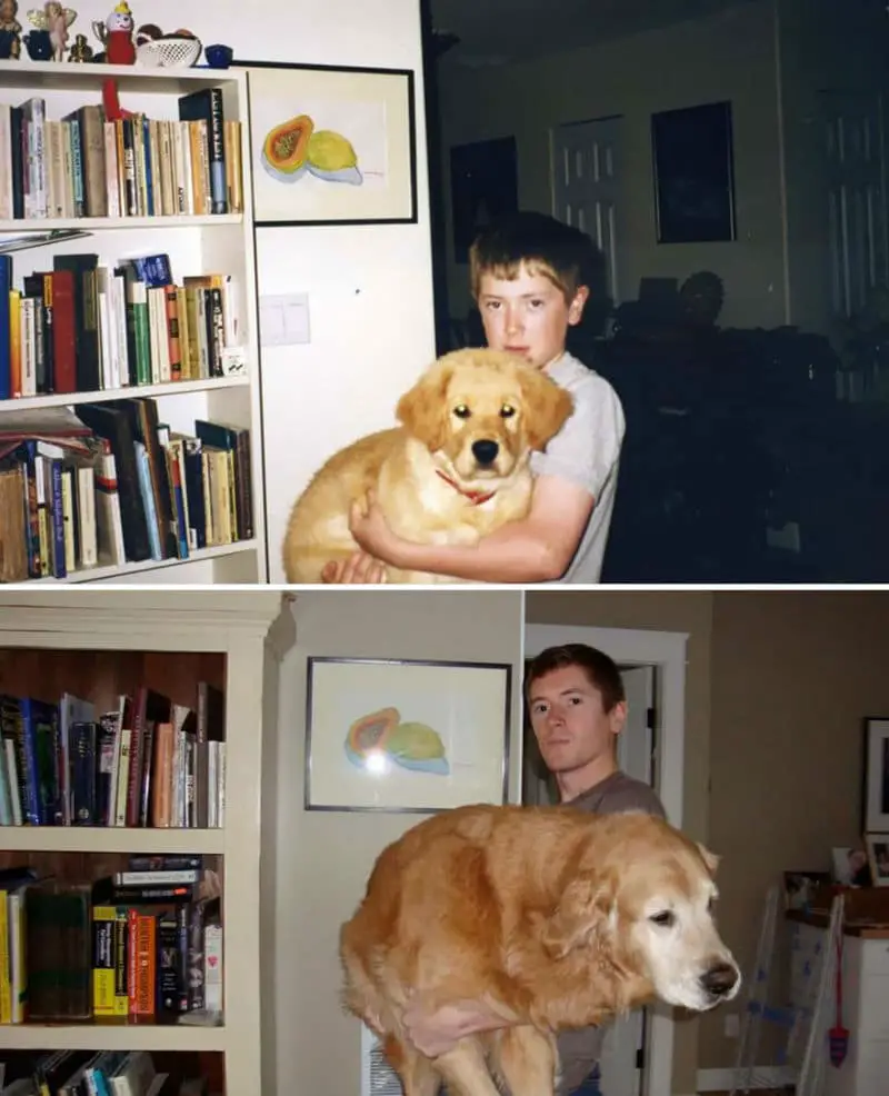 dogs-before-after-then-now07