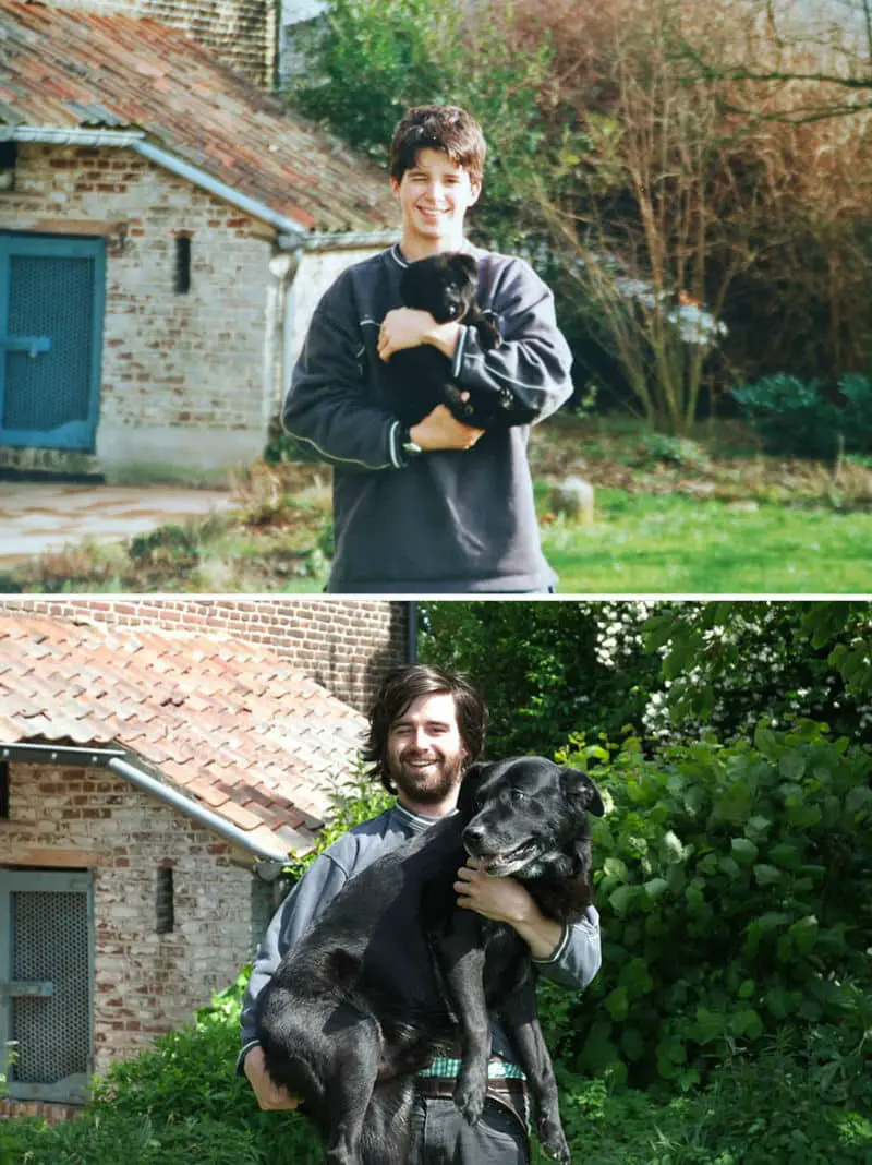 dogs-before-after-then-now09
