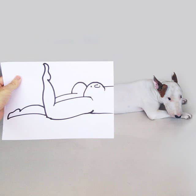 playful-illustrations-with-bull-terrier10