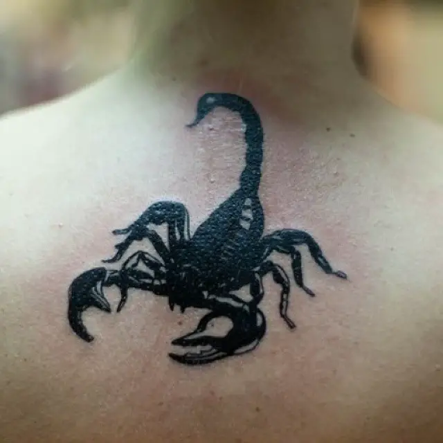 scorpio-tattoo-design11