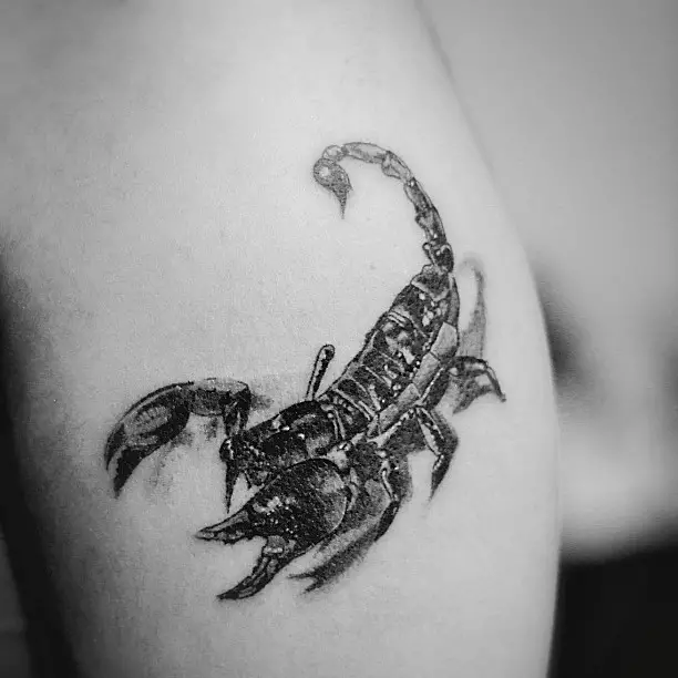 scorpio-tattoo-design17