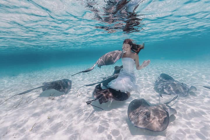 underwater-photography12