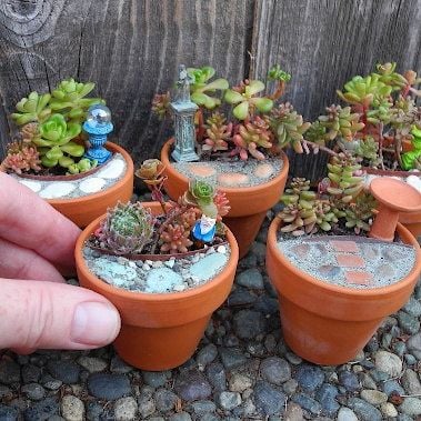miniature-garden35