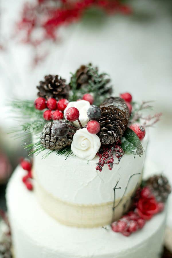 winter-cake-wedding10