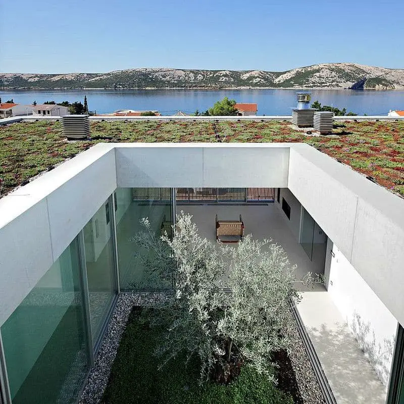 modern-olive-house02