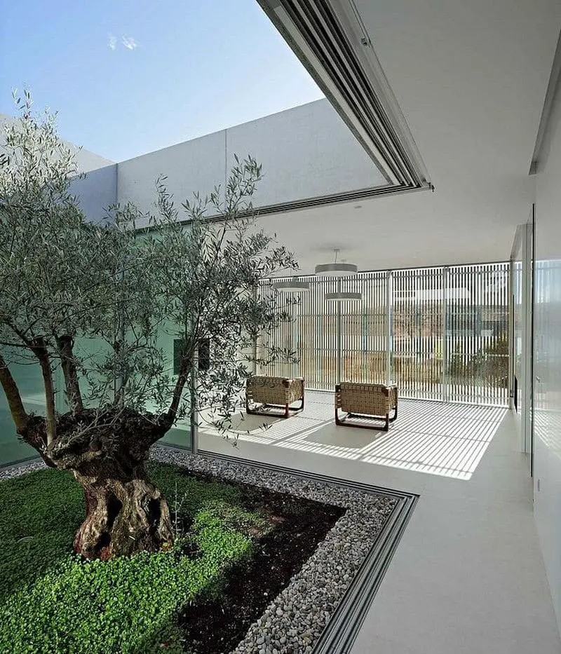 modern-olive-house149