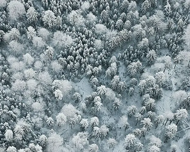 winter-aerials79