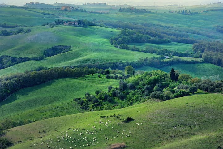 tuscan-landscape09