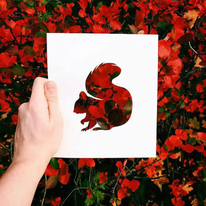 animal-paper-cutout09