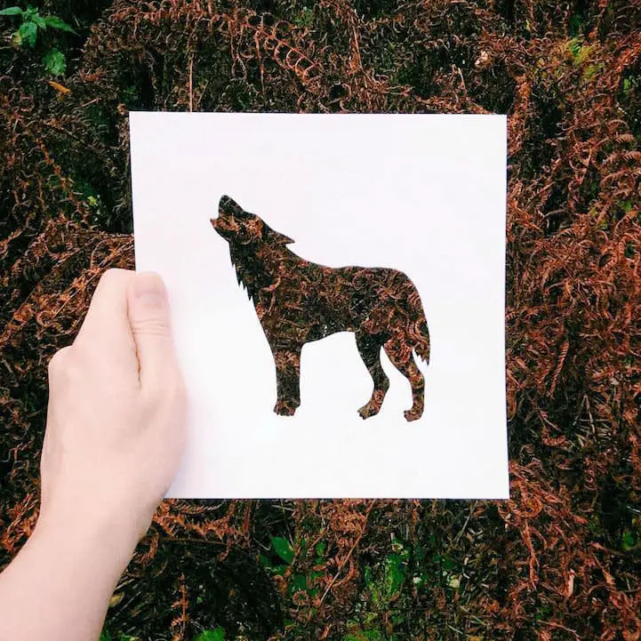 animal-paper-cutout45