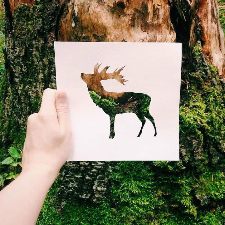 animal-paper-cutout89