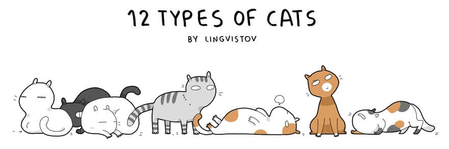 cat-types05