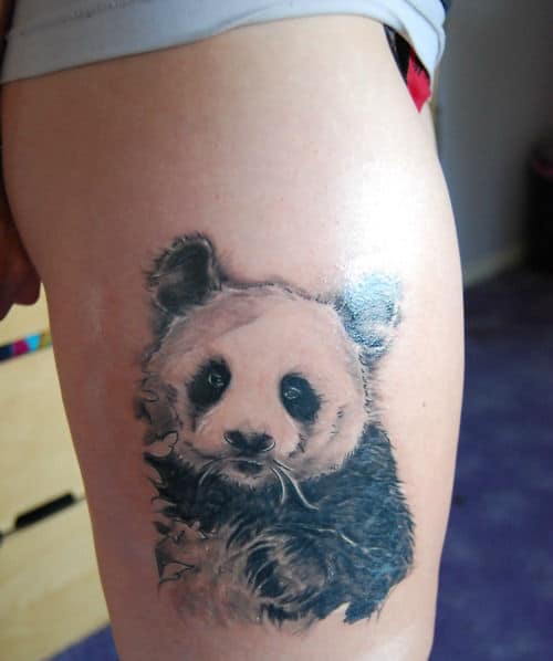 panda-tattoos69
