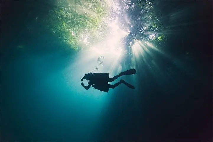 underwater-photography25