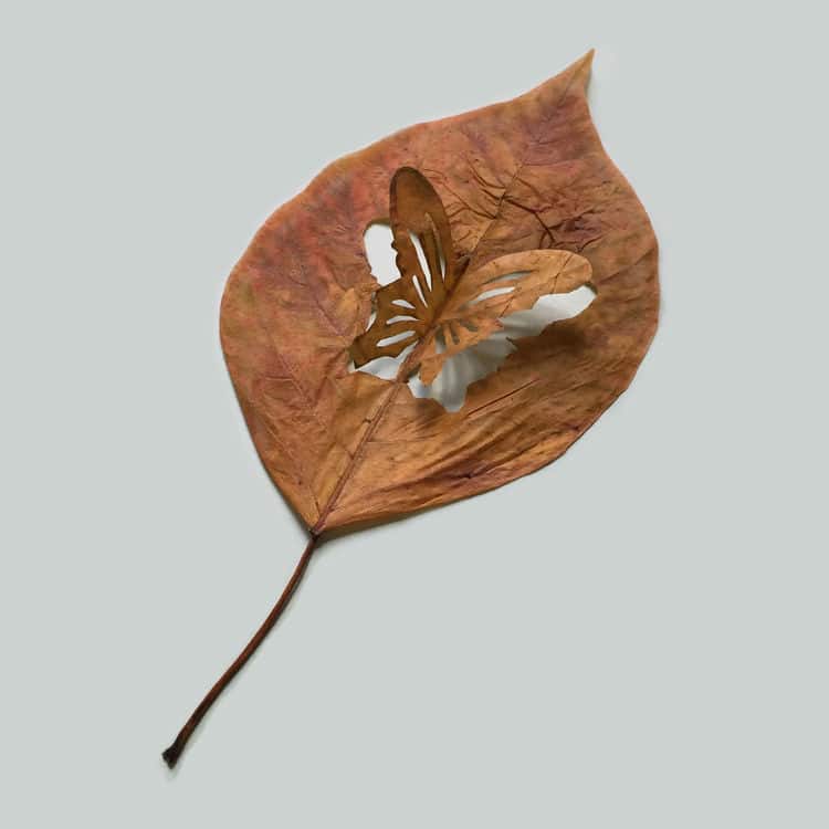 minimalist-leaf-art13