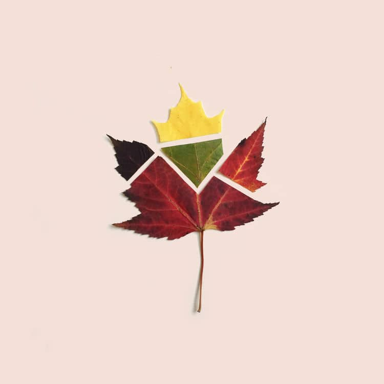 minimalist-leaf-art21