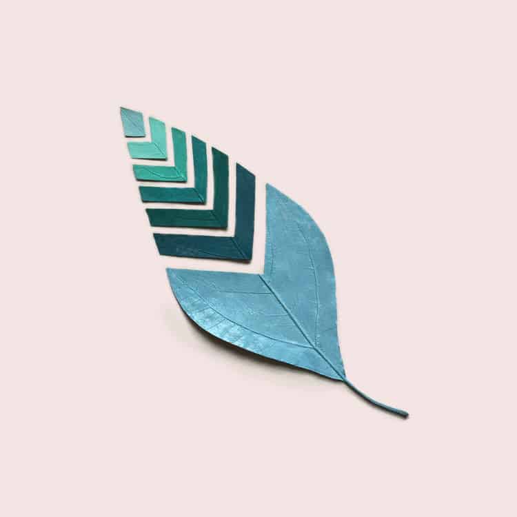 minimalist-leaf-art37