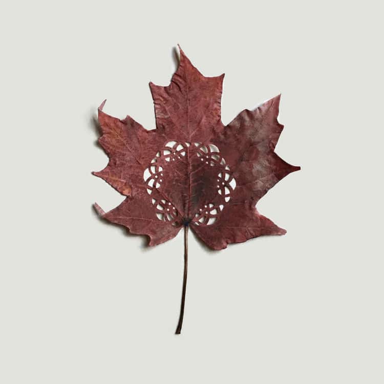 minimalist-leaf-art41