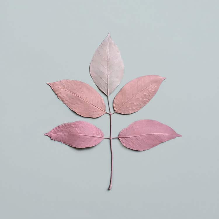 minimalist-leaf-art53