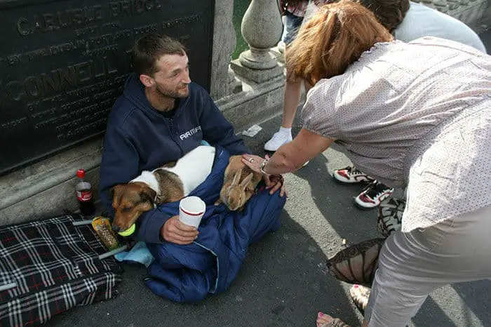 homeless-dog41
