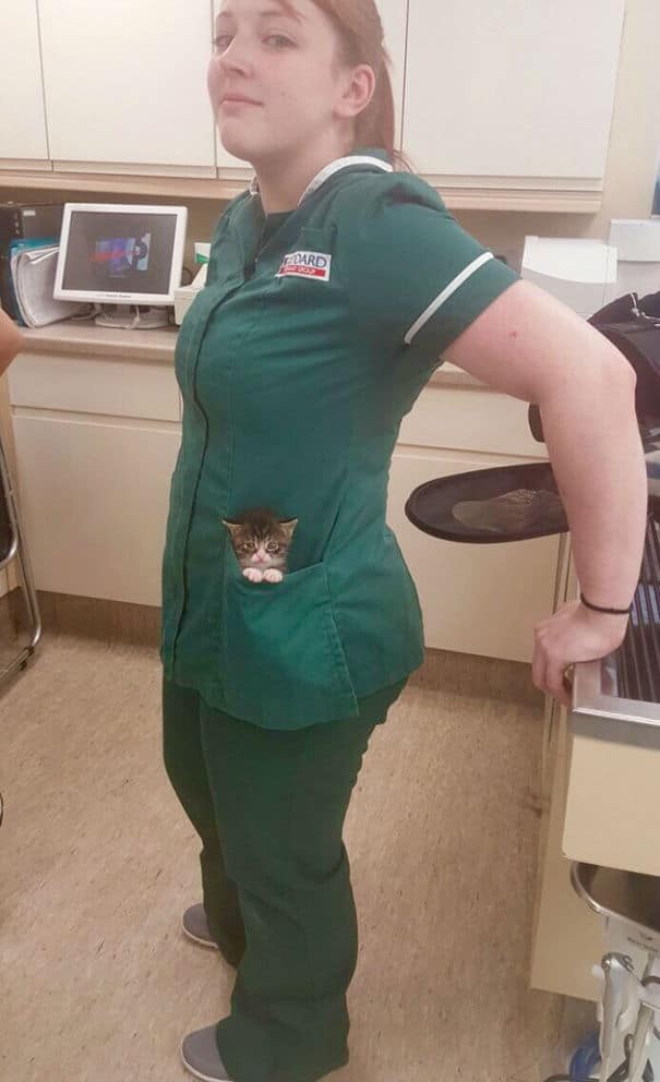Source: imgur