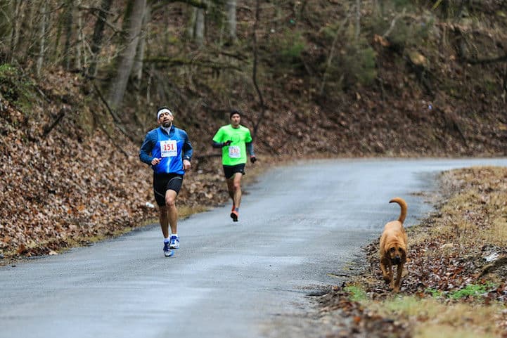 dog-elkmont-marathon05