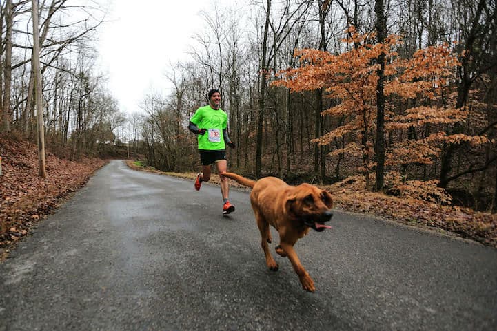 dog-elkmont-marathon25