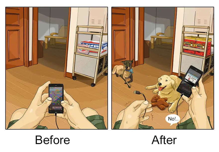 before-after-dog05