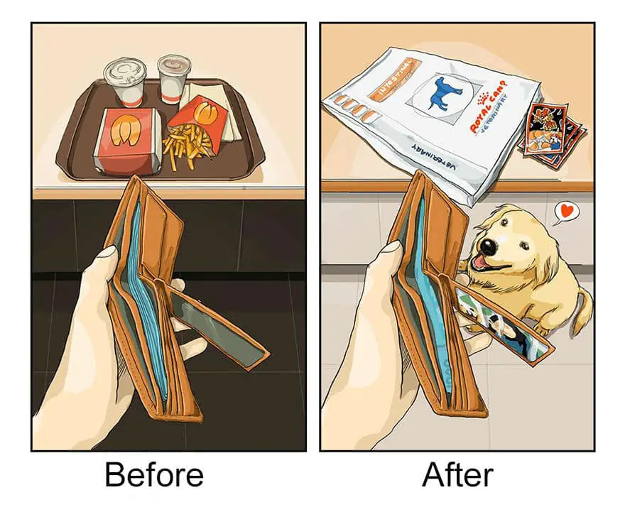 before-after-dog13
