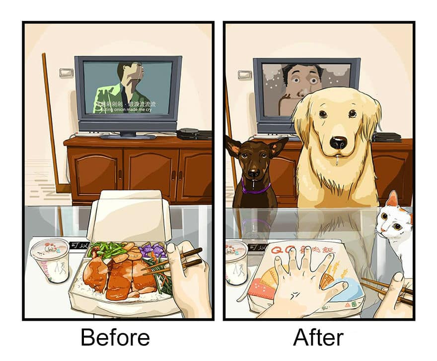 before-after-dog17