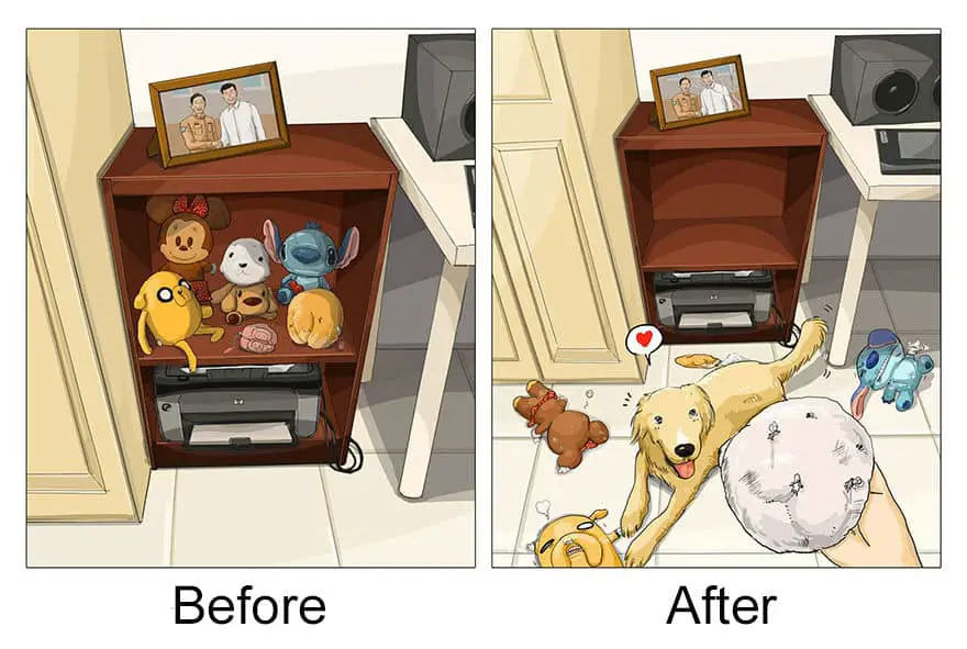 before-after-dog33