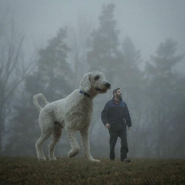 giant-dog-photoshop17