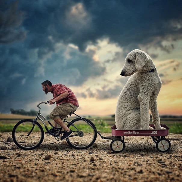 giant-dog-photoshop25