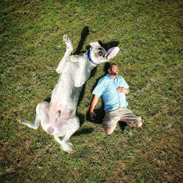 giant-dog-photoshop29