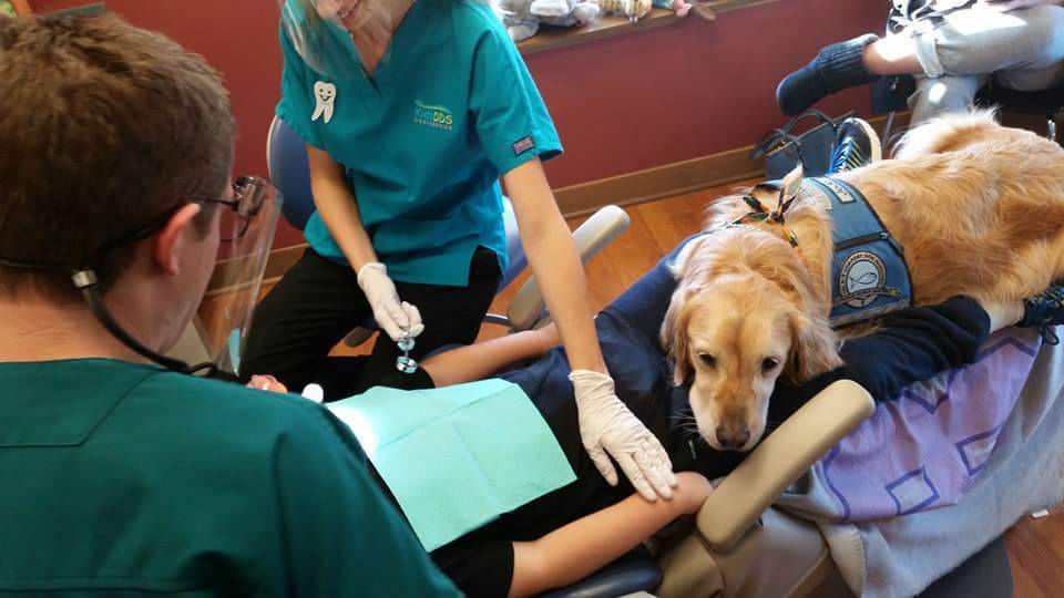dentist-assistant-dog02
