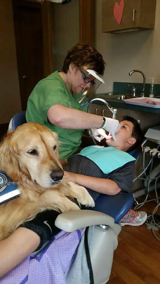 dentist-assistant-dog23