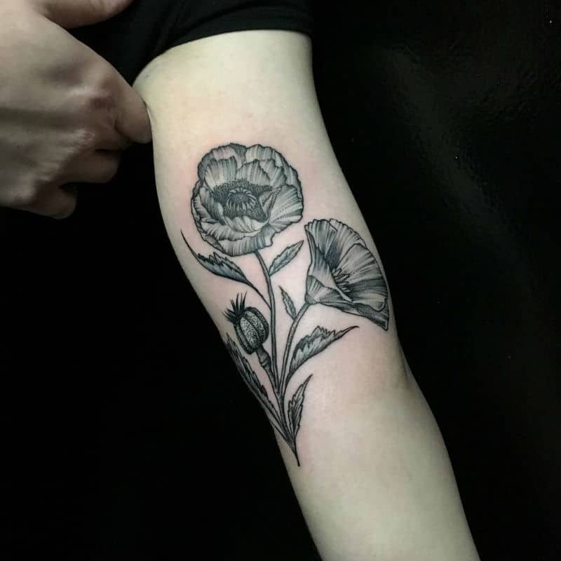 Iron  Oak Tattoo  Black and grey poppies tattoo blackandgreytattoo  poppies winona ironandoak  Facebook