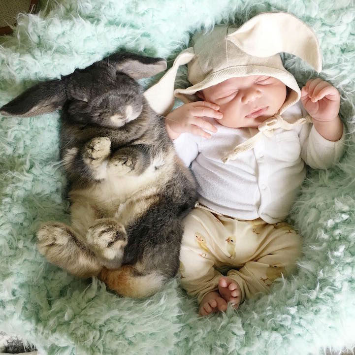 baby-boy-bunnies002