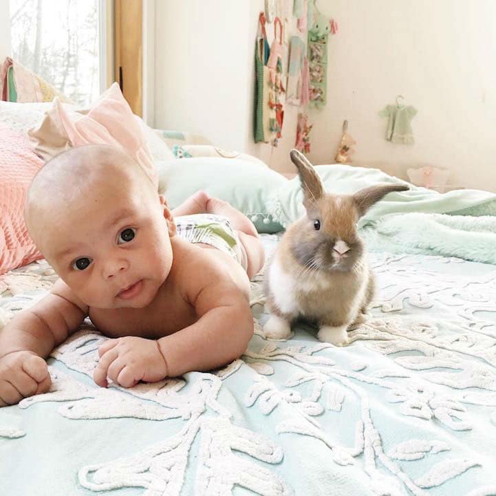 baby-boy-bunnies005