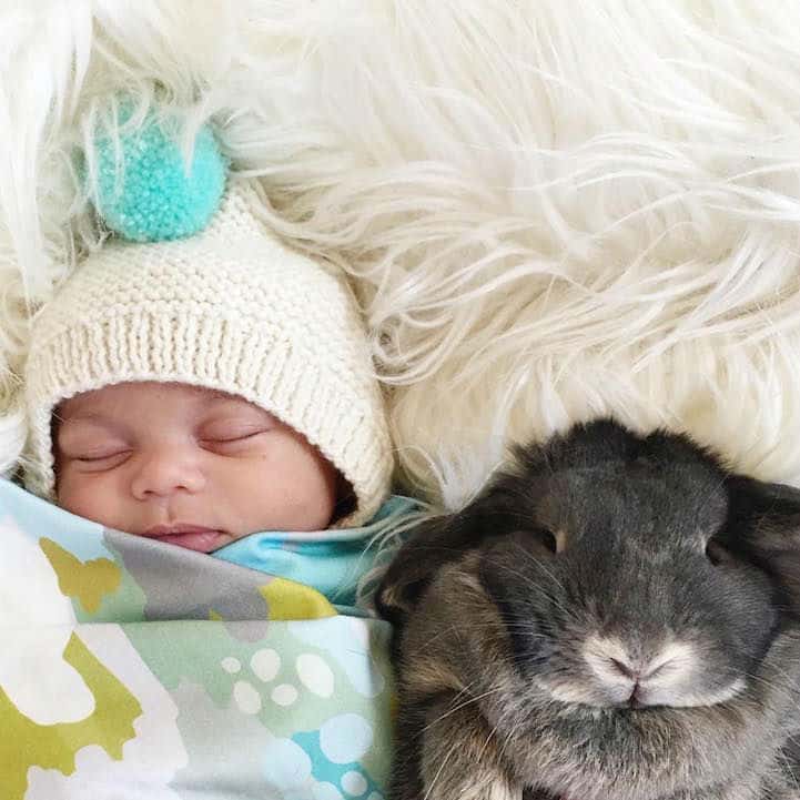 baby-boy-bunnies010