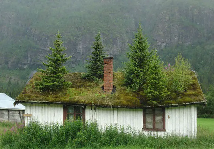 scandinavia-hobbit-homes007