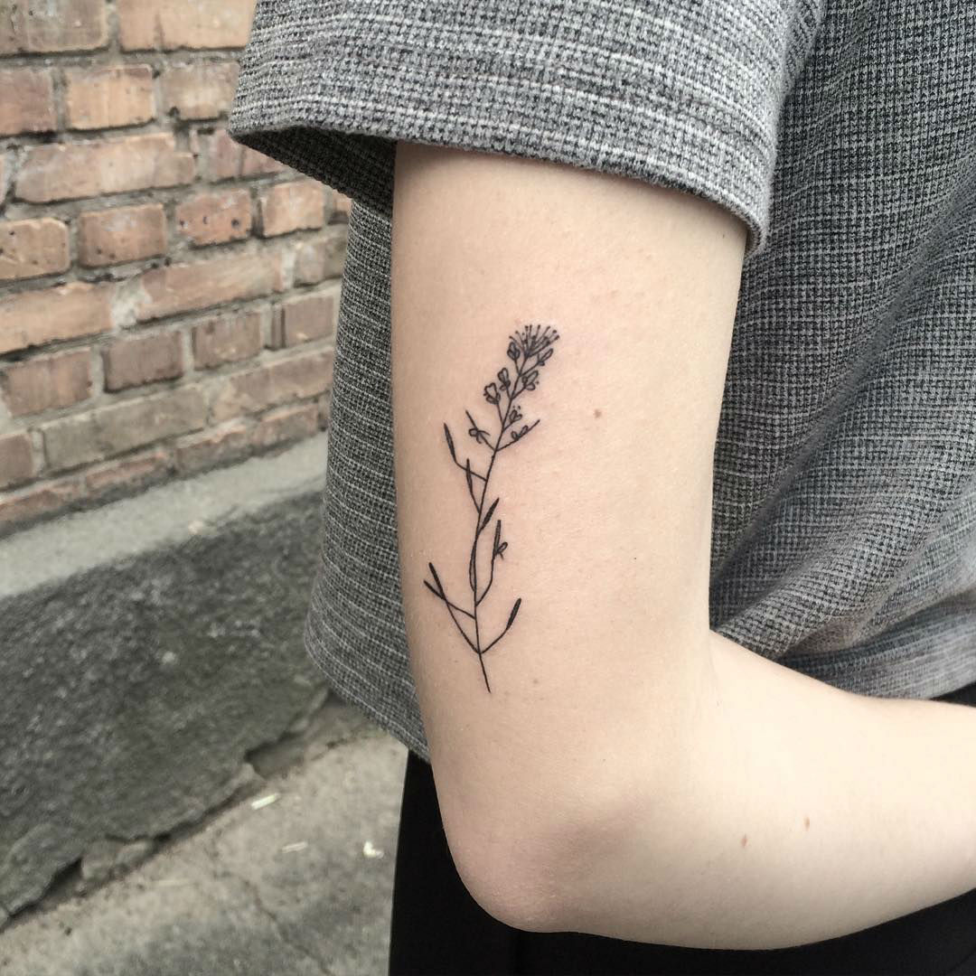 botanical-tattoos008