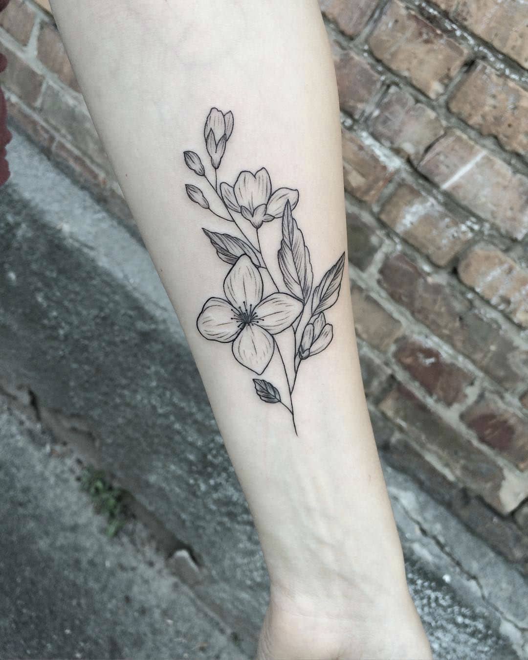 botanical-tattoos015