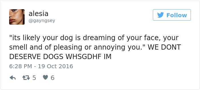 dogs-dream-about-owner004