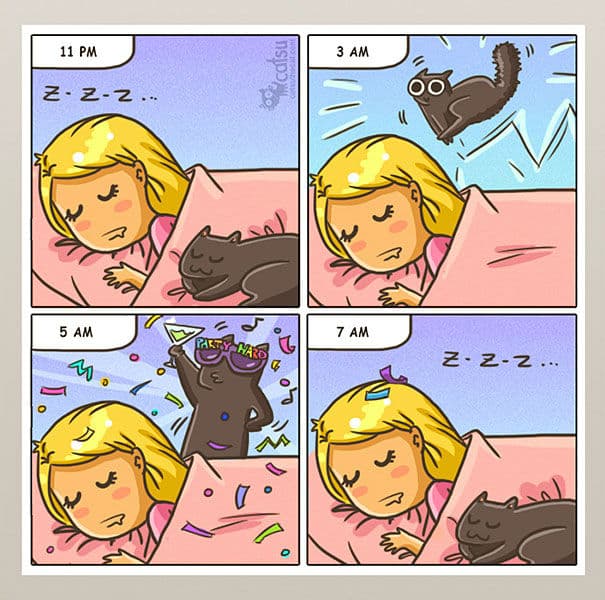 cat-comics010