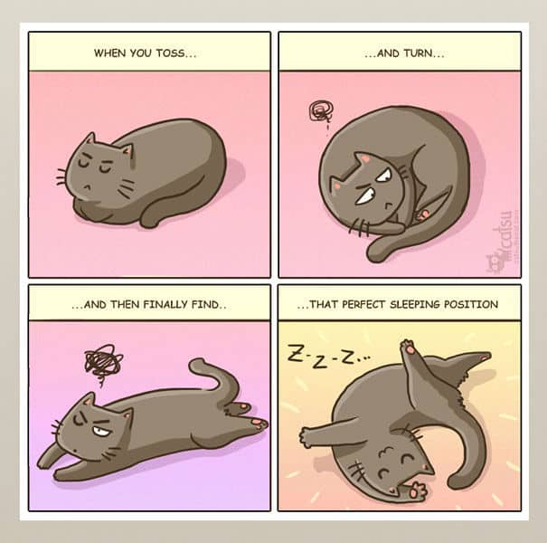 cat-comics012