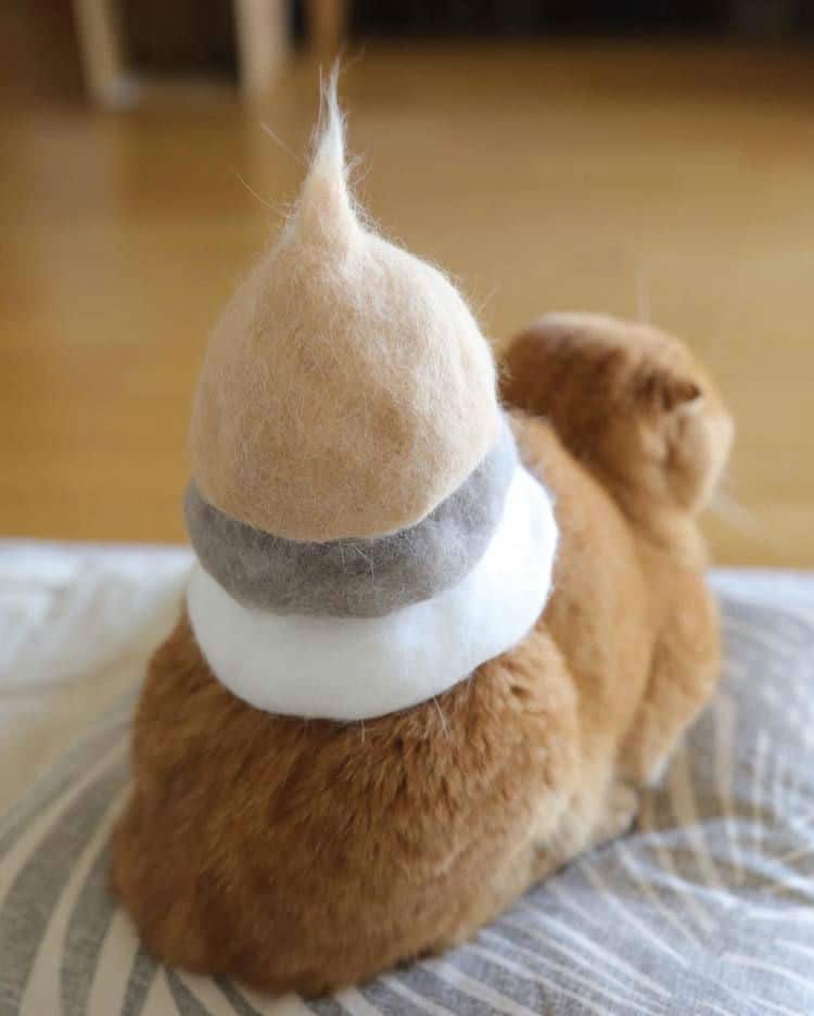 cat-hair-hat009