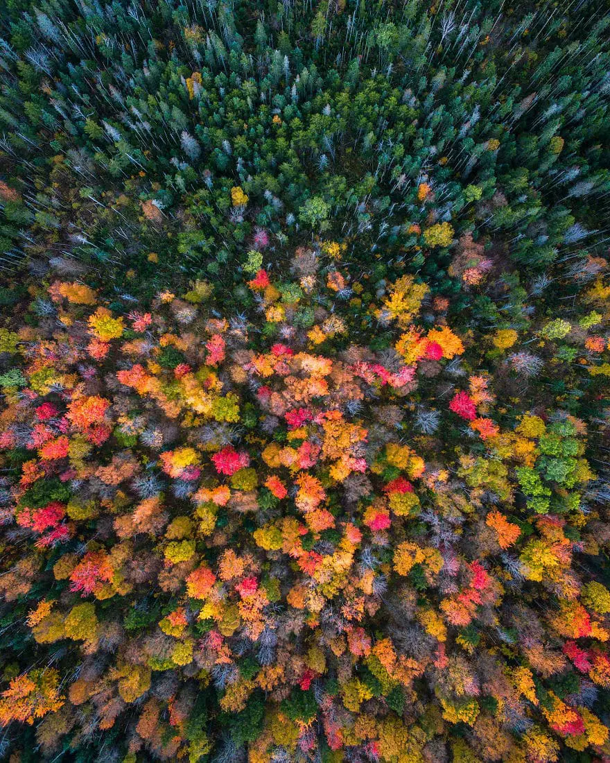 fall-drone-photos003